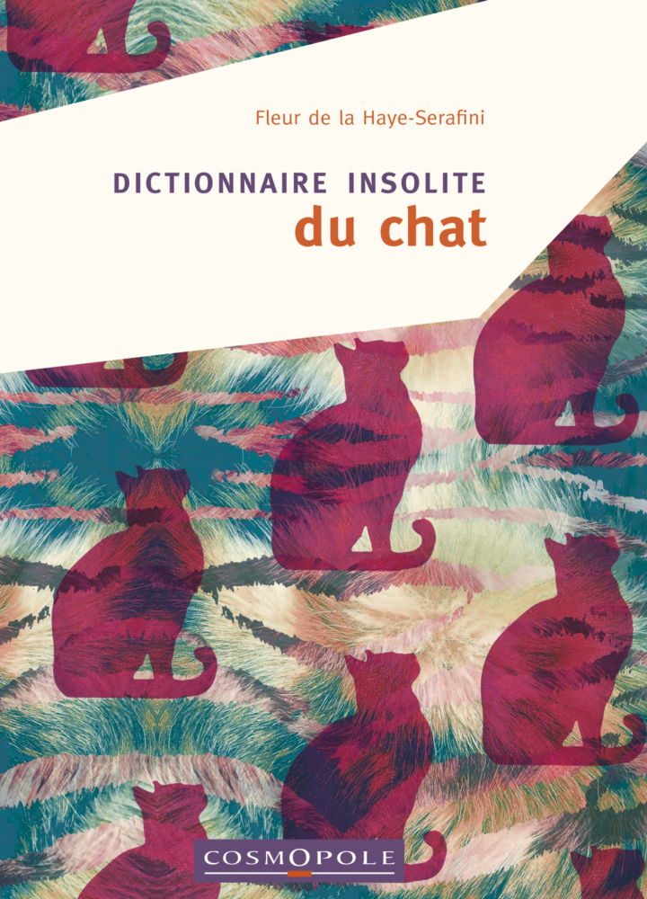 Dictionnaire insolite du chat