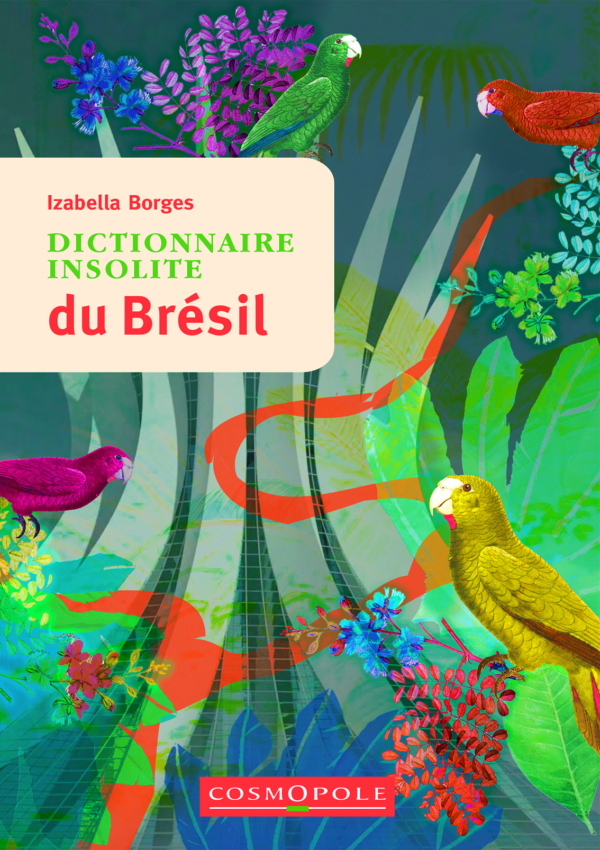 Dictionnaire insolite du Brésil