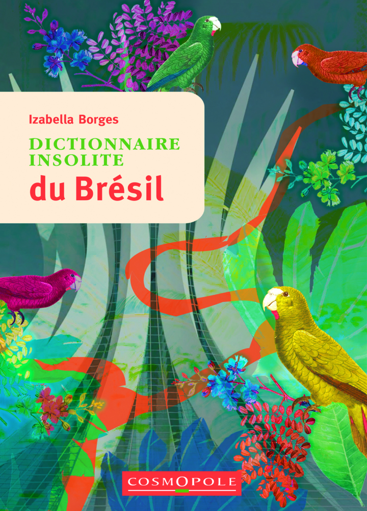 Dictionnaire insolite du Brésil